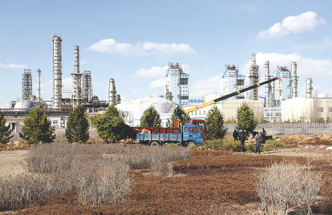 赏金船长游戏截图